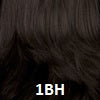 1BH Off Black w/ Medium Dark Brown Highlights
