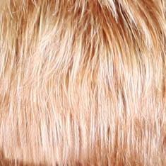 Strawberry Blonde (27) frosted with Bleach Blonde (613)