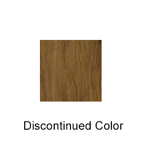 Color 27H = DARK STRAWBERRY BLONDE / BUTTERSCOTCH HIGHLIGHTS