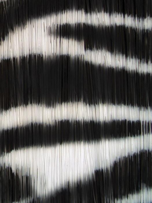 16" Tiger Print Hair Extensions (1pc) by POP | CLOSEOUT