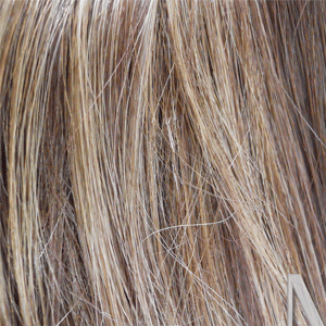 8/12/24BHL Lt Chestnut Brown Mixed with Med Golden Brown Highlighted with Butterscotch