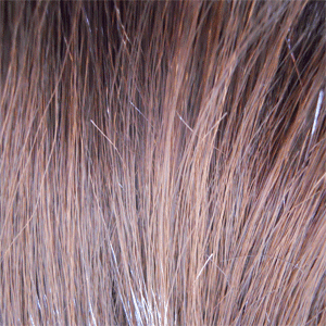 M4/30 Med Dk Brown & Lt Auburn Mix