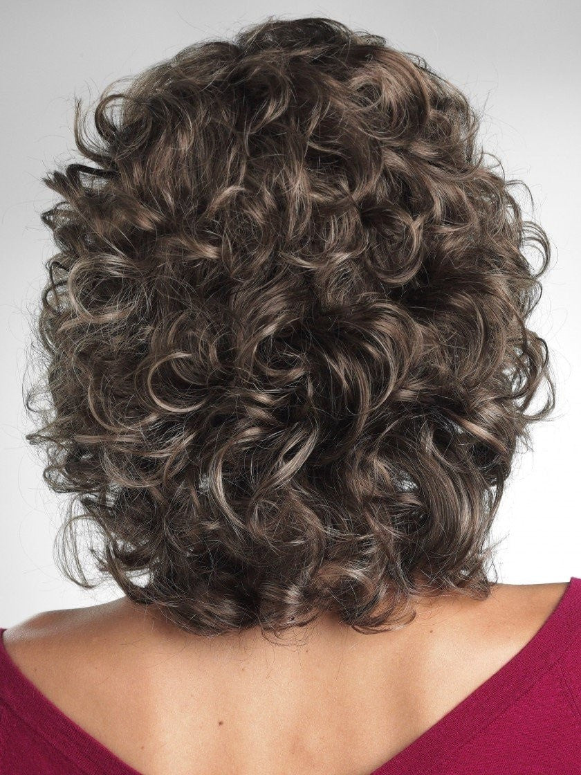 Color 14HL8 | Beverly Hills by Tony of Beverly