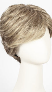 Color Dark-Sand-Mix = Light Brown base with Lighest Ash Brown and Medium Honey Blonde blend