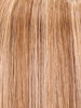 10H24B | Light Brown with 20% Light Gold Blonde Highlights