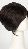R2/4 | Darkest Brown Blended With Dark Brown