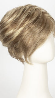R12/26CH | Light Brown w/Chunky Golden Blonde Highlights