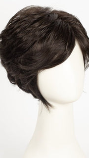 R2/4 | Darkest Brown Blended With Dark Brown