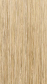 22MB | Light Ash Blonde and Light Natural Gold Blonde Blend