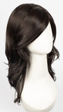 R2/4 | Darkest Brown Blended With Dark Brown