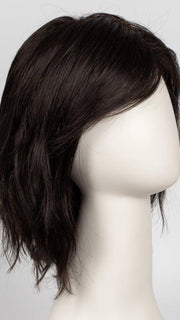 R2/4 | Darkest Brown and Dark Brown Blend