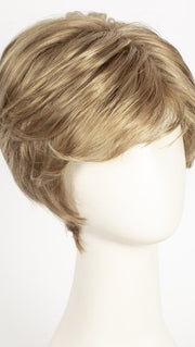 R14/26H | Dark Blonde with Golden Blonde Highlights