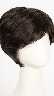 R2/4 | Darkest Brown Blended With Dark Brown