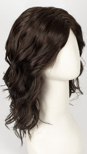 R4/6 | Dark Brown and Chestnut Brown Blend