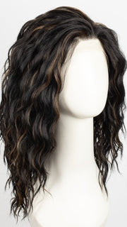 FS1B/27 | 80% Off Black with 20% Honey Blonde Frost