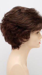 CINNAMON RAISIN | Medium Brown with Auburn and Cinnamon highlights