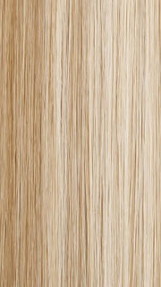 14/88H | Light Natural Blonde and Light Natural Gold Blonde Blend