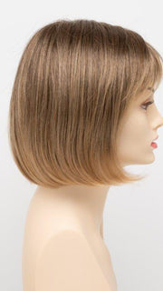24/18 FROSTED | Light Brown with Wheat Blonde blended highlights