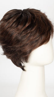 SS4/33 EGGPLANT | Dark Reddish Brown with Black/Brown Lowlights and Roots