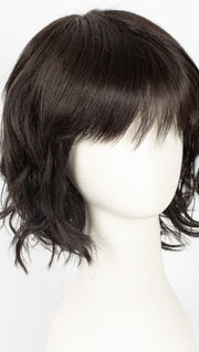 2/4R | Very Dark Brown with highlights