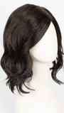 RL2/4 OFF BLACK | Black Evenly Blended with Dark Brown Highlights