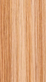 24B/27C BUTTERSCOTCH | Light Gold Blonde and Light Red-Gold Blonde Blend