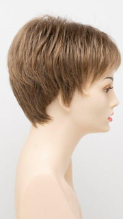  FROSTED | Light Brown with Wheat Blonde blended highlights