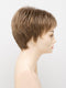  FROSTED | Light Brown with Wheat Blonde blended highlights