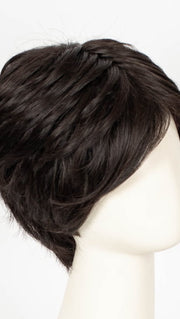 2/4R | Very Dark Brown with highlights