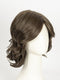 RL10/12 SUNLIT CHESTNUT | Light Chestnut Brown Evenly Blended with Light Brown