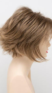 24/18 FROSTED | Light Brown with Wheat Blonde blended highlights