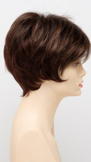 CINNAMON RAISIN | Medium Brown with Auburn and Cinnamon highlights