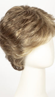 R13F25 PRALINE FOIL | Lightest Brown with Gold Blonde Highlights Around the Face