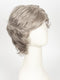 R119G | SILVER AND SMOKE | Light Brown with 80% Gray in Front Gradually into 50% Gray Towards the Nape