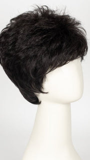 Color R2 = Ebony: Off black or Black/Brown