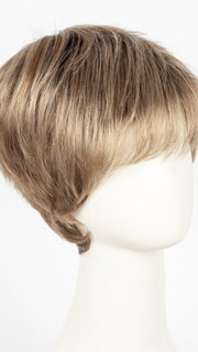 Color Dark-Sand-Rooted = Light Brown base with Lighest Ash Brown and Medium Honey Blonde blend and Dark Roots