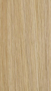 16/22 | BANANA CRÈME | Light Natural Blonde and Light Ash Blonde Blend