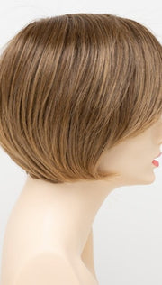 24/18 FROSTED | Light Brown with Wheat Blonde blended highlights