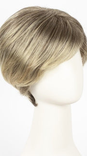Color Sunny Blonde=Tipped Medium Ash Brown w/ Light Gold Blonde Highlights