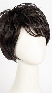 FS1B/30 | 80% Off Black with 20% Copper Blonde Frost