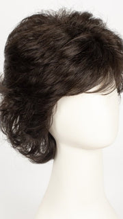 R2/4 | Darkest Brown Blended With Dark Brown