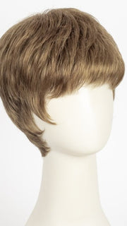 R12/26H | Light Brown w/Golden Blonde Highlights on Top