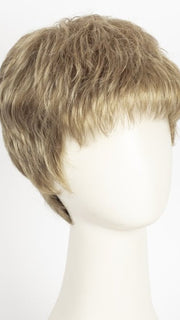 R14/26H | Dark Blonde w/Golden Blonde Highlights