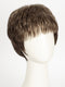 R14/8H | Golden Brown w/Dark Blonde Highlights on Top