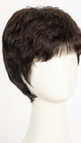R2/4 | Darkest Brown Blended With Dark Brown