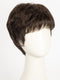 R4/6 | Dark Brown Blended With Chestnut Brown