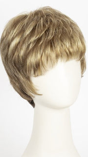 RM12/26CH | Light Brown w/Golden Blonde Highlights on Top