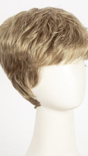 R14/26H | Dark Blonde w/Golden Blonde Highlights