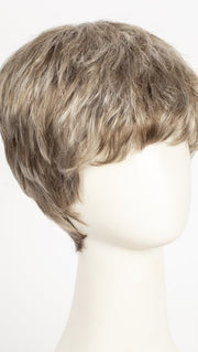 R17/101 | Ash Brown/Platinum Blonde Blend