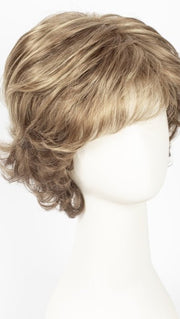 R12/26H | Light Brown w/Golden Blonde Highlights on Top